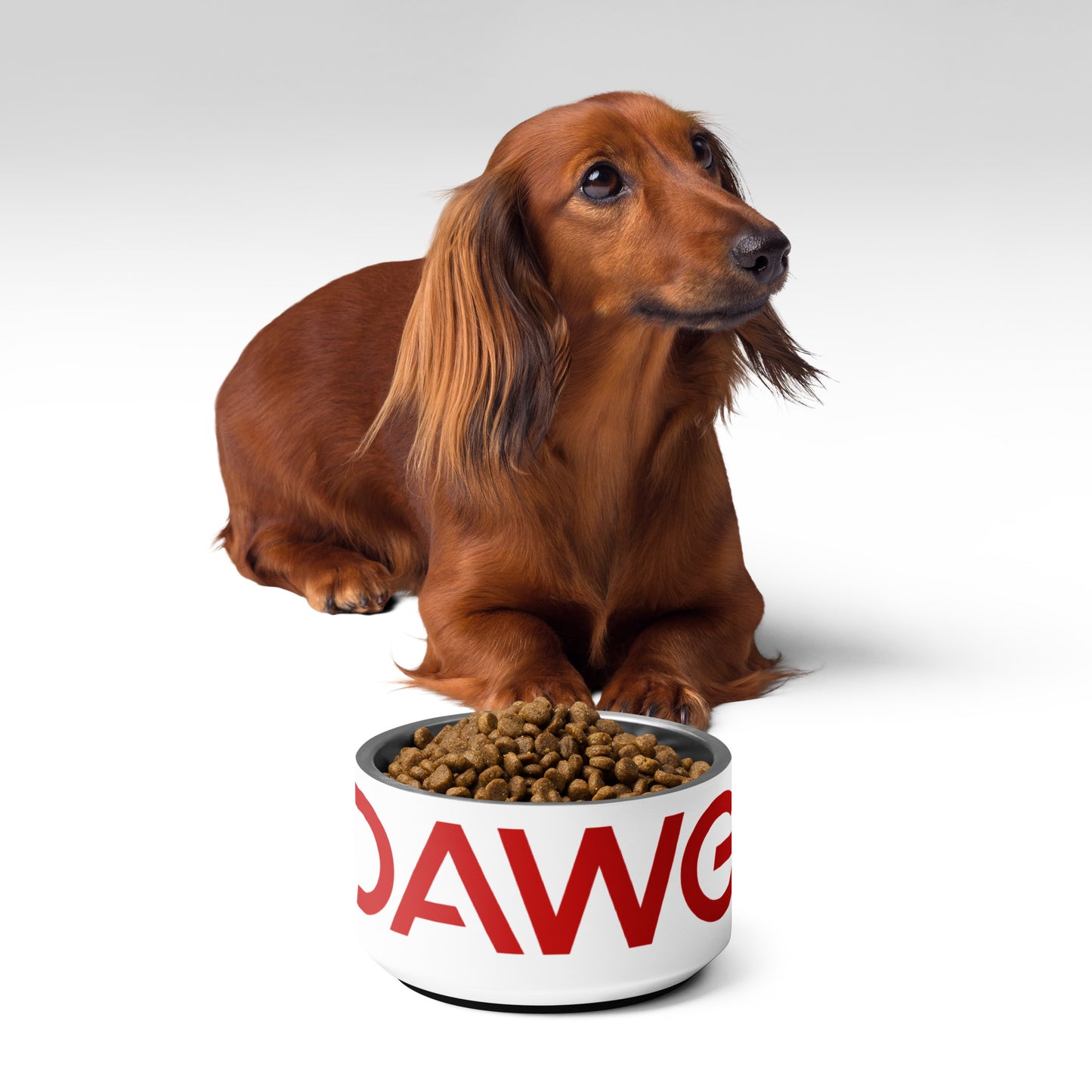 Pet bowl R.E.D. DAWG COLLECTION